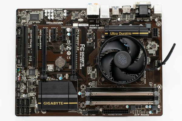 Twitter : Le Sanctuaire des Experts des Réseaux Sociaux ?